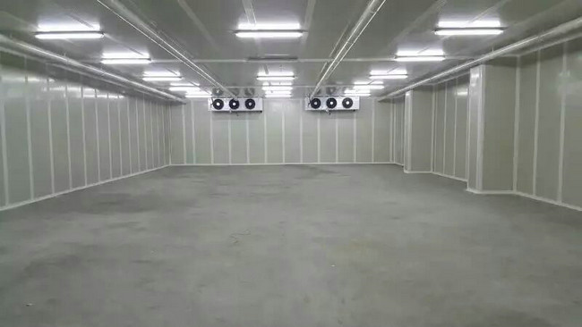 500吨香蕉水果气调库