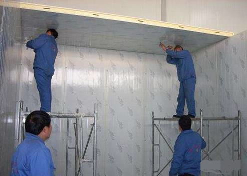 肉类排酸解冻冷库怎么建造